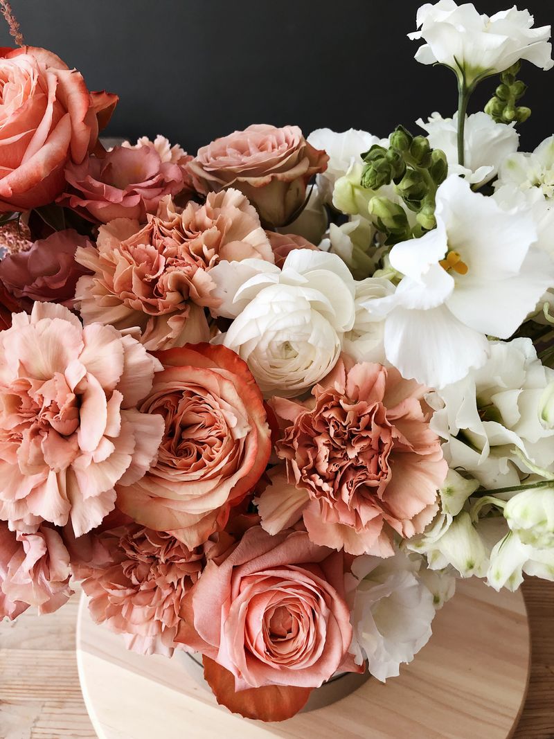 Carnations