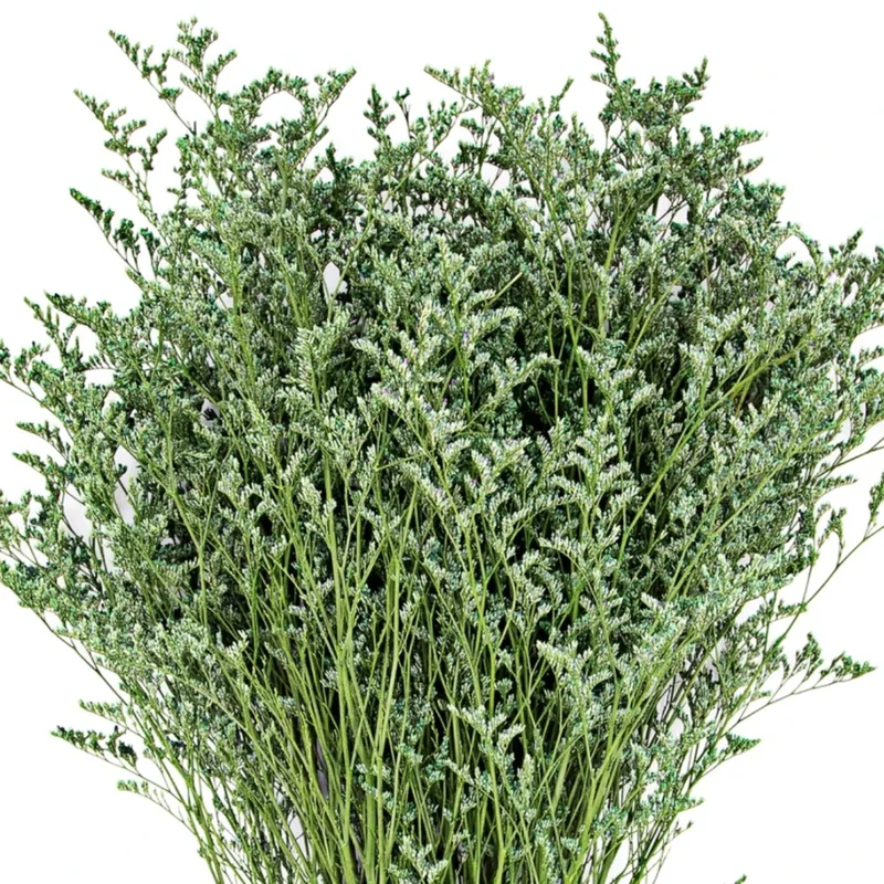 Füllblumen & Grün