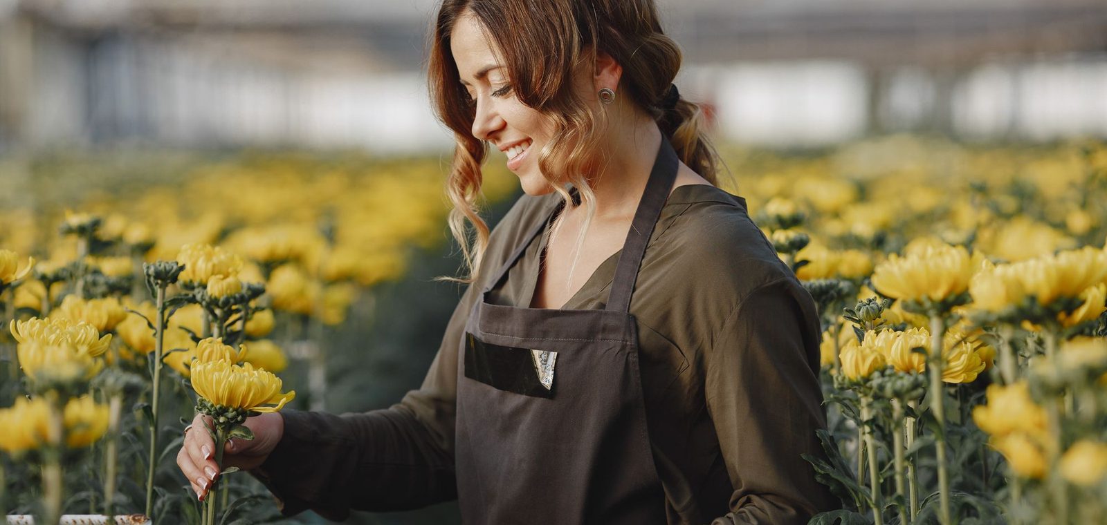 A grower selecting stems at a Vibra partner farm