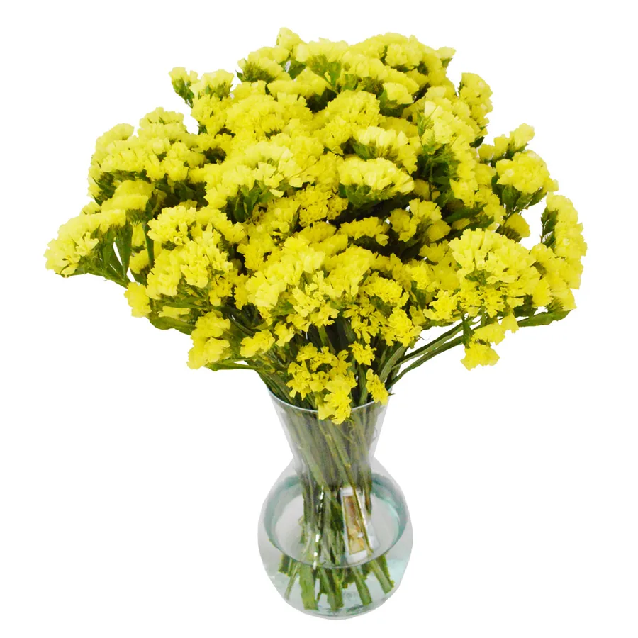 Bright yellow limonium (statice) bunch, grown by a Vibra partner farm