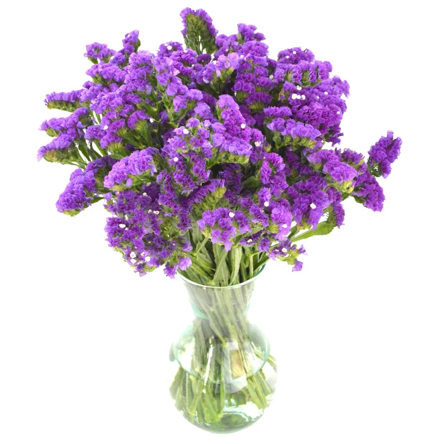 Purple statice (limonium) bunch in a vase