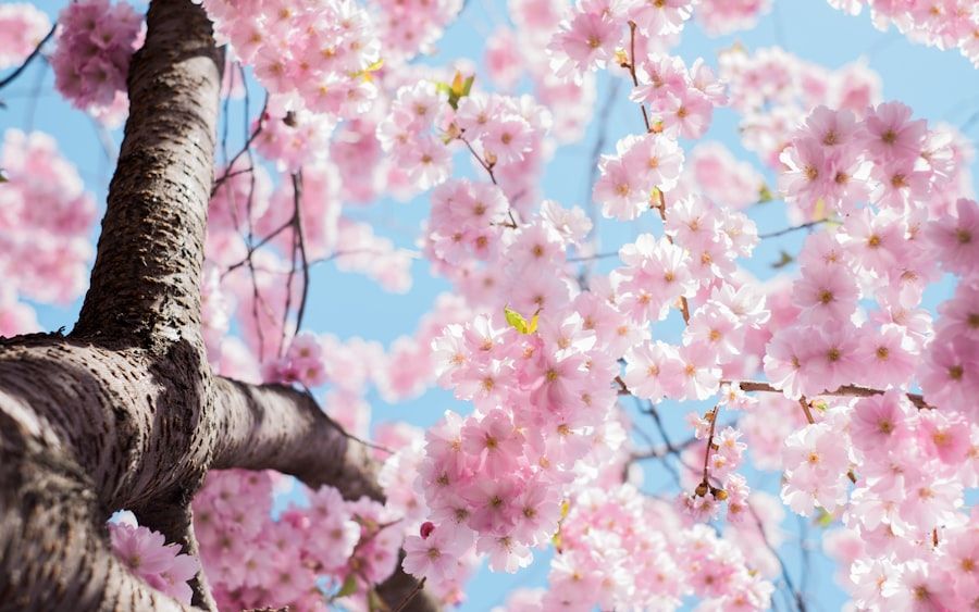 Unexpected Blooms selected by Vibra
